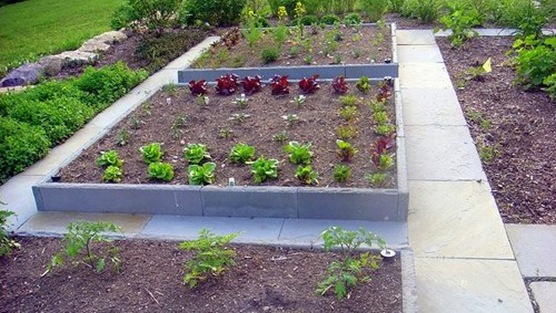 image-of-build-a-vegetable-garden[1]
