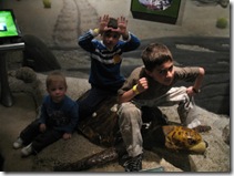 boys on the turtle
