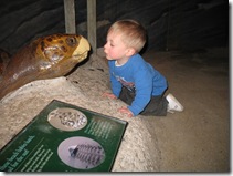 Simeon and his turtle