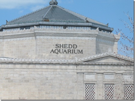 The Shedd